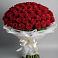 Букет 101 Красная роза Блэк Мэджик в Першутино