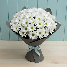 Букет цветов из:  Хризантемы в Першутино