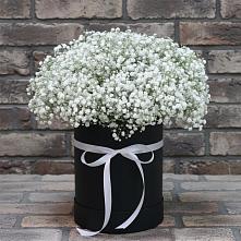 Цветочная композиция из Гипсофила в шляпной коробке в Першутино